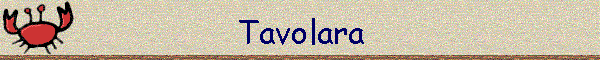 Tavolara
